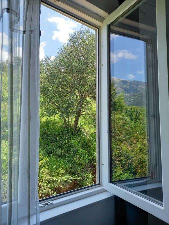 Harmony Lägenhet Radanovići Exteriör bild